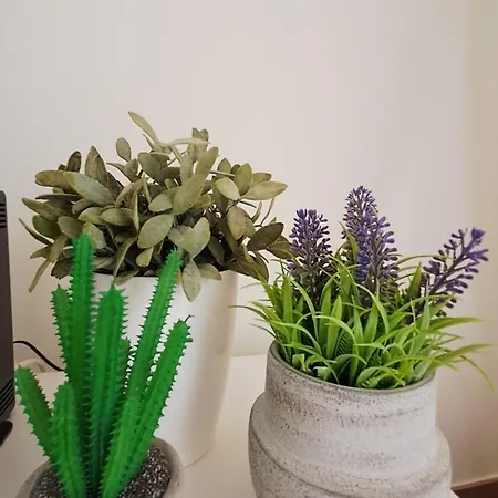 Marina De Albufeira, Διαμέρισμα Αλμπουφέιρα